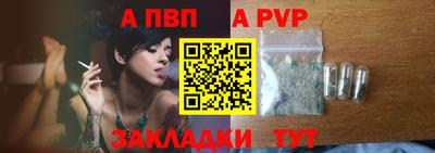 амф Кингисепп