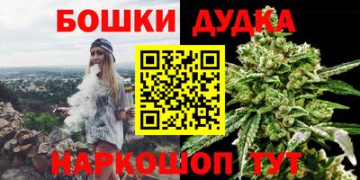 амф Кингисепп