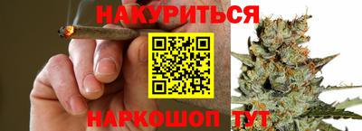 амф Кингисепп