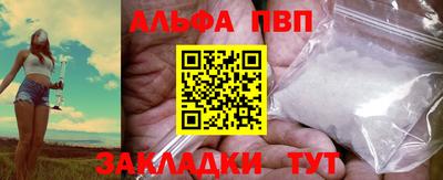 амф Кингисепп
