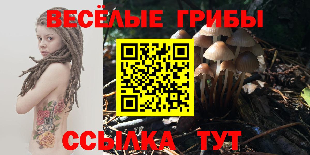 Кизилюрт  Галлюциногенные грибы мухоморы  Галлюциногенные грибы мицелий  Вход с VPN 